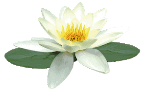 Reiki logo Helios Centrum Heerde